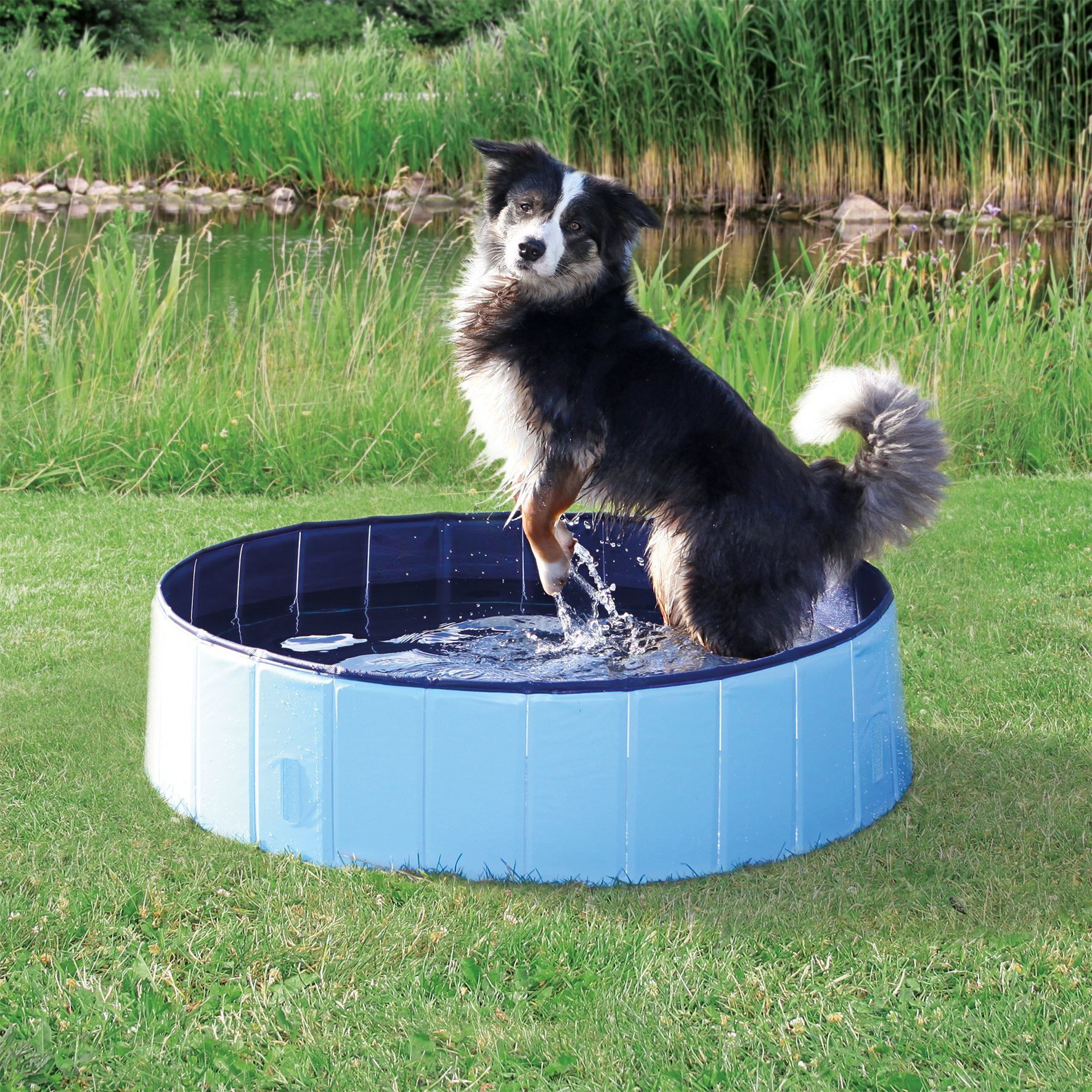 Trixie - Piscine en Plastique Bleu pour Chien - &Oslash; 70cm Image num&eacute;ro 3