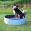 Trixie - Piscine en Plastique Bleu pour Chien - Ø 70cm Indicateur image numéro 3
