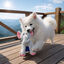 Summer Vibes - Peluche El&eacute;phant Dolce Vita pour Chiens - 27cm Indicateur image num&eacute;ro 6