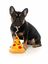 FuzzYard - Jouet Peluche Plush Toy Pizza pour Chien Indicateur image numéro 3