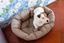 Ferplast - Sofa 6 Tourterel pour Chiens Indicateur image num&eacute;ro 7