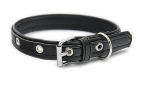 Matteo - Collier Cuir de Cactus Noir pour Chiens