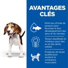 Hill's Science Plan Puppy boite pour chiot poulet 370g image number null