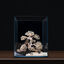 Dennerle - Kit de Décoration Naturelle Box Bonsai Indicateur image numéro 4