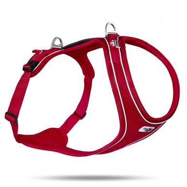Curli - Harnais Belka Confort Rouge pour Chiens