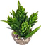 Labeo - Décor HOP - Plante Artificielle Aquarium Indicateur image numéro 3