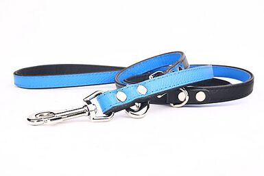 Yogipet - Laisse Ajustable 1,6/220cm pour Chien - Bleu