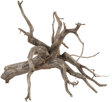 Sera - Racine Scaper Root pour Aquarium