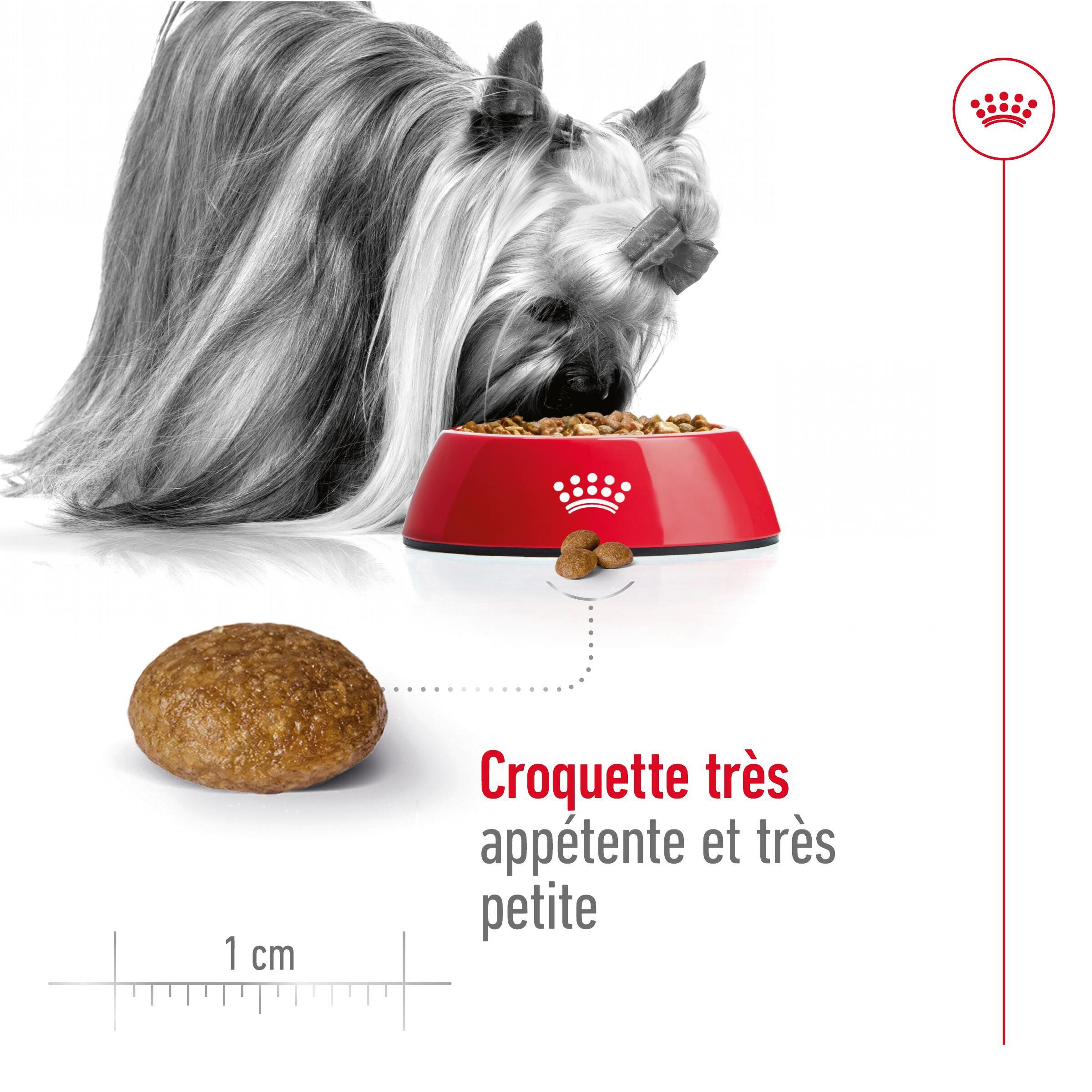 Royal Canin - Croquettes X SMALL ADULT 8+ pour chiens - 1,5KG Image num&eacute;ro 9