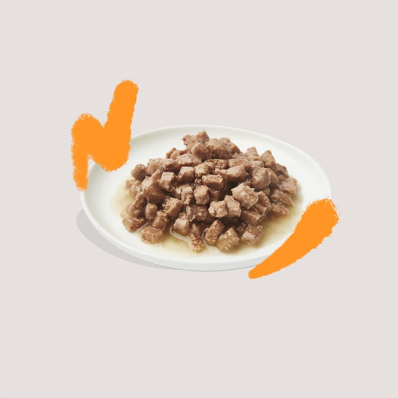 Edgard & Cooper - Multipack Pâtée Morceaux en Sauce pour Chat - 8x85g Image numéro 2 Edgard & Cooper - Multipack Pâtée Morceaux en Sauce pour Chat - 8x85g Image numéro 2