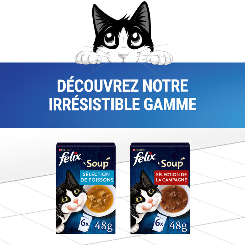Felix - Soupes en sachets Sélection de Poissons pour Chats - 6x48g Image numéro 3 Felix - Soupes en sachets Sélection de Poissons pour Chats - 6x48g Image numéro 3