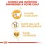 Royal Canin - Croquettes British Shorthair pour Chat Adulte - 2Kg Indicateur image numéro 5