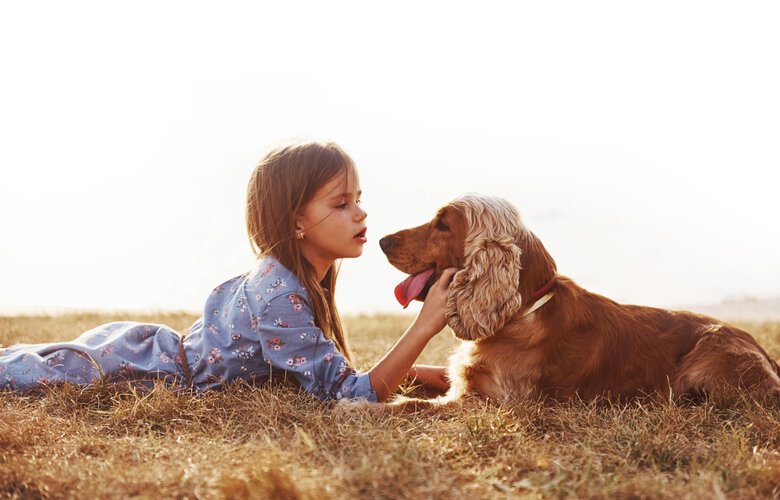 Scalibor - Collier Antiparasitaire pour Petit et Moyen Chien - 48cm Image numéro 5 Scalibor - Collier Antiparasitaire pour Petit et Moyen Chien - 48cm Image numéro 5