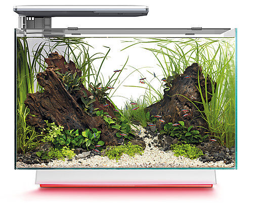 Superfish - Aquarium Design Quadro 70 Multi Colour - Blanc Image num&eacute;ro 3