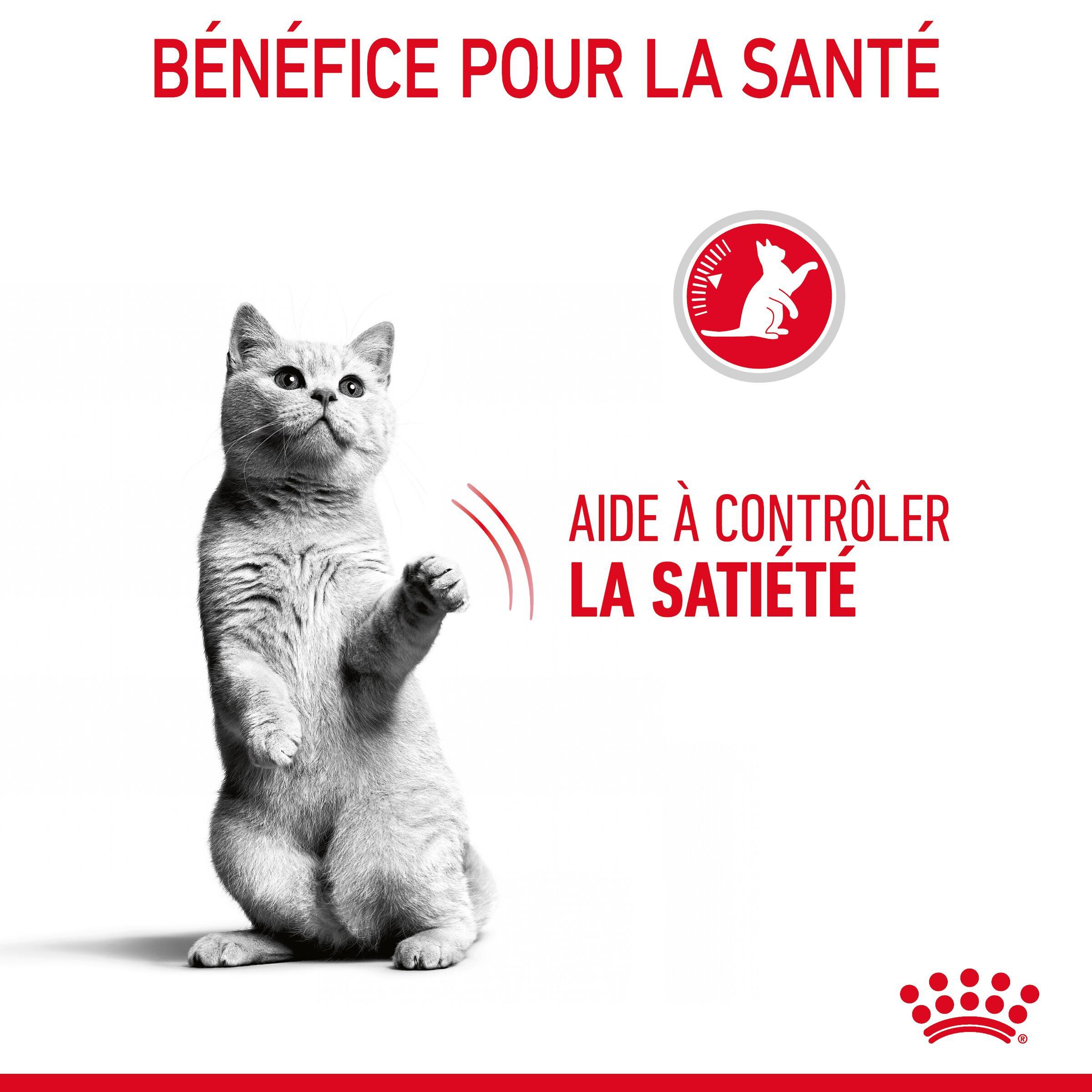 Royal Canin - Croquettes Appetite Control Care pour Chat - 2Kg Image num&eacute;ro 10