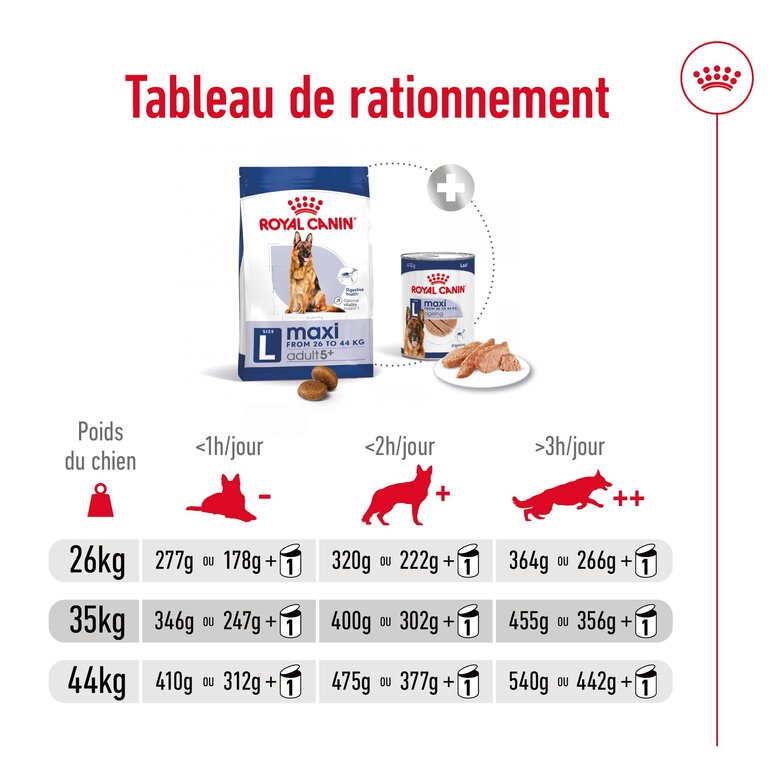 Royal Canin - Croquettes Maxi Adulte 5+ pour Chien Adulte - 15Kg Image numéro 13 Royal Canin - Croquettes Maxi Adulte 5+ pour Chien Adulte - 15Kg Image numéro 13