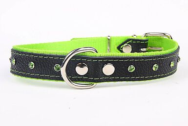 Yogipet - Collier Cuir Nylon Crystal pour Chien Vert