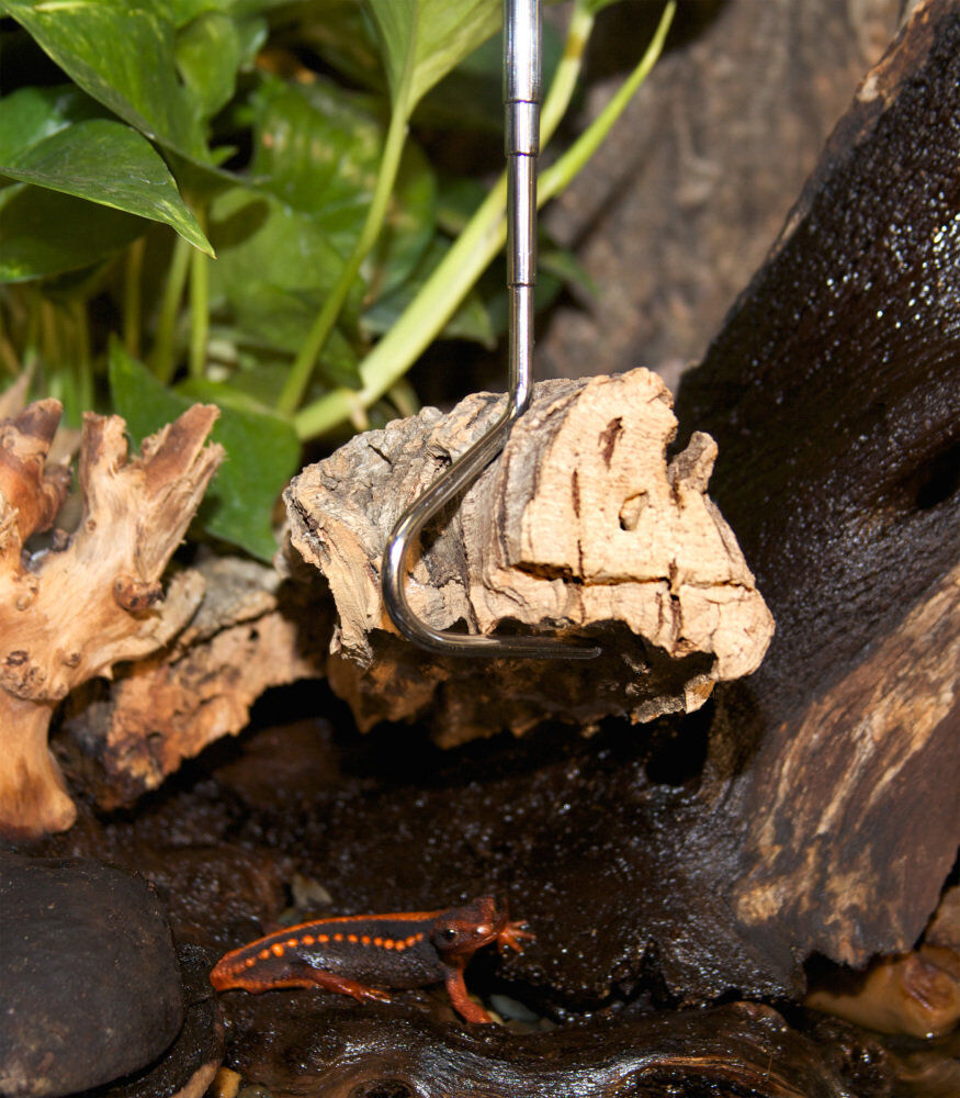 Zoomed - Crochet T&eacute;l&eacute;scopique Snake Hook pour Serpents Image num&eacute;ro 3