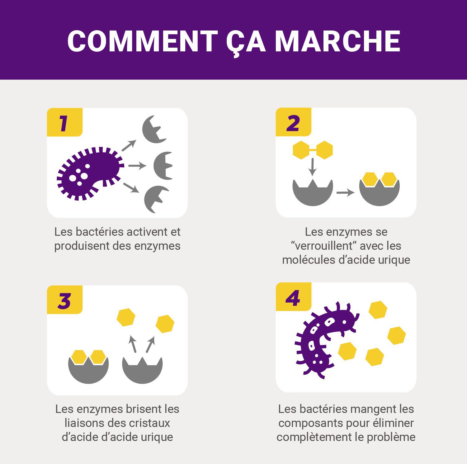 Urine Off - Destructeur Biotec Urine Off Chat - 946ml Image num&eacute;ro 2