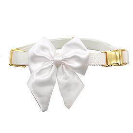 Croci - Collier Smoking Ceremony pour Chiens