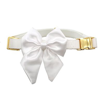 Croci - Collier Smoking Ceremony pour Chiens