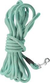 Bobby - Longe Walk Lagon pour Chiens - 5m