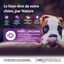 Wellness CORE - Croquettes Puppy Dinde et Poulet pour Chiot - 1,5Kg Indicateur image numéro 2