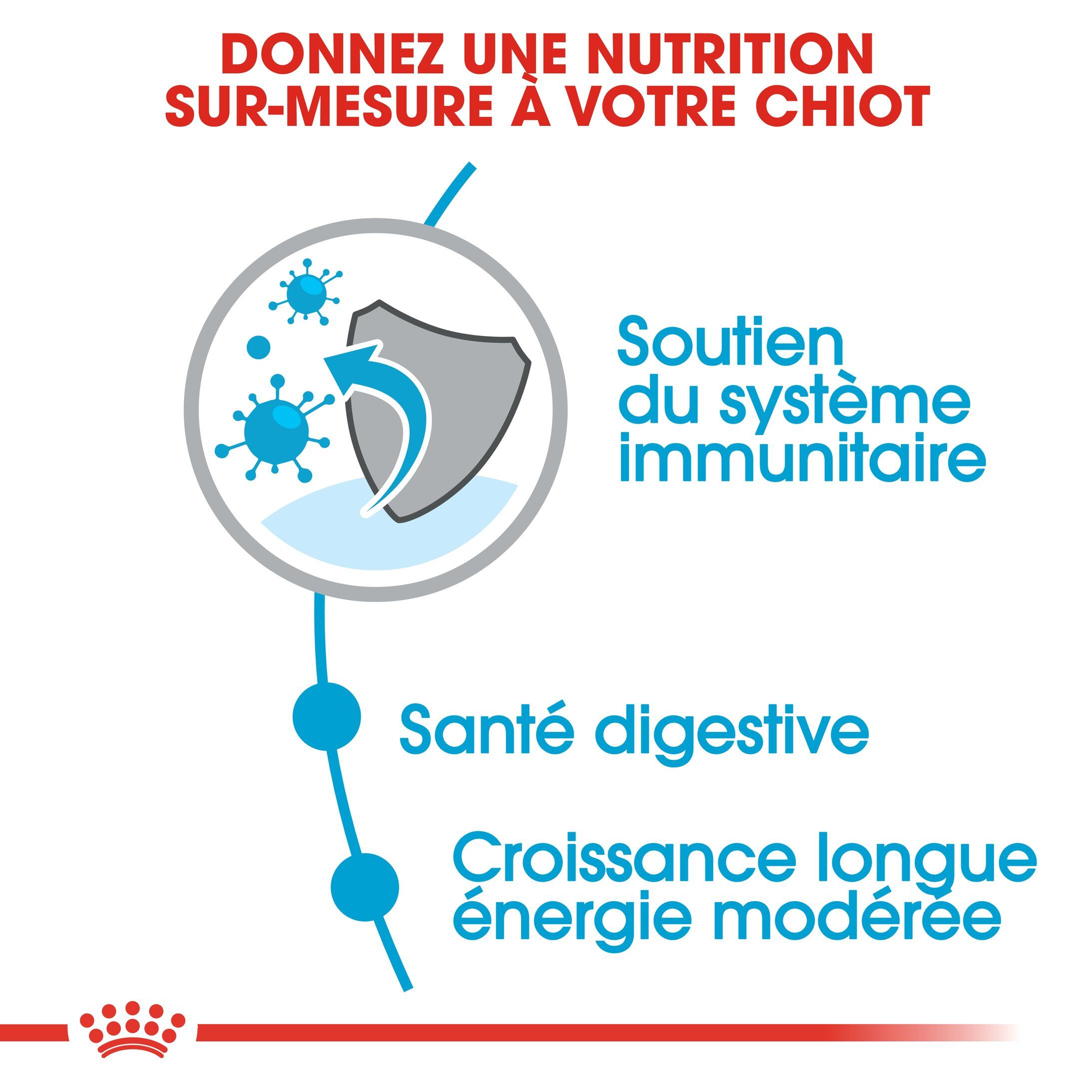 Royal Canin - Croquettes Maxi Puppy pour Chiot - 15Kg Image num&eacute;ro 5