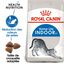 Royal Canin - Croquettes Indoor 27 Chat d'Intérieur pour Chat Adulte - 4Kg Indicateur image numéro 1