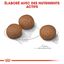 Royal Canin - Croquettes Digestive Care pour Chien - 3Kg Indicateur image numéro 5