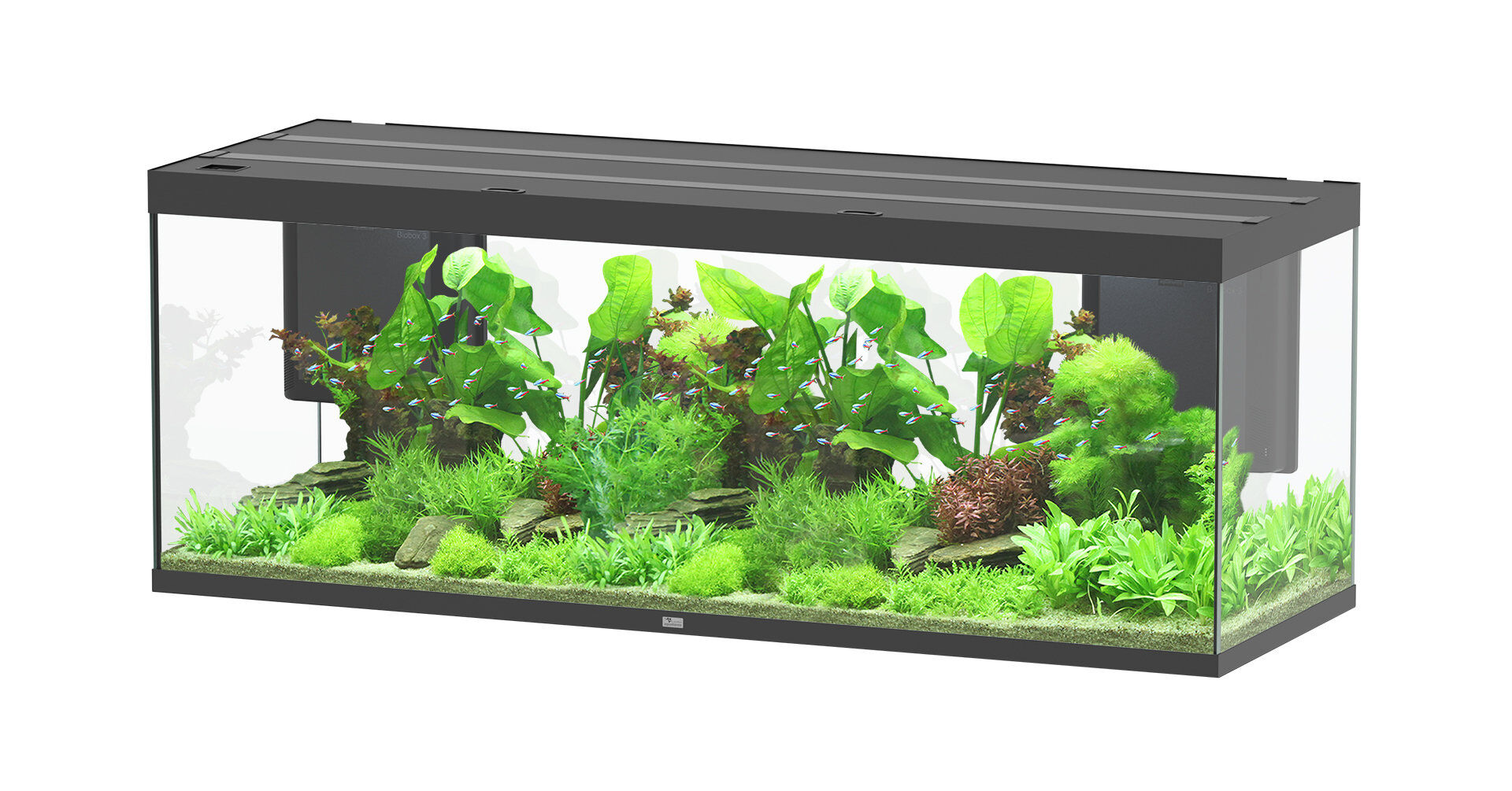 Aquatlantis - Aquarium SUBLIME ULTRA 200x70 LED RGBW 853L - Noir Image num&eacute;ro 1