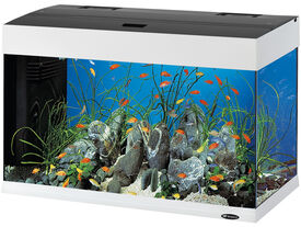 Hydor - Aquarium Dubai 80 Led