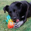 KONG - Jouet Shieldz Tropics Pieuvre pour Chiens - M Indicateur image numéro 3