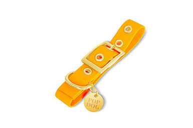 Pop Dog - Collier à Œillet Pitchoune Orange pour Chien - XL