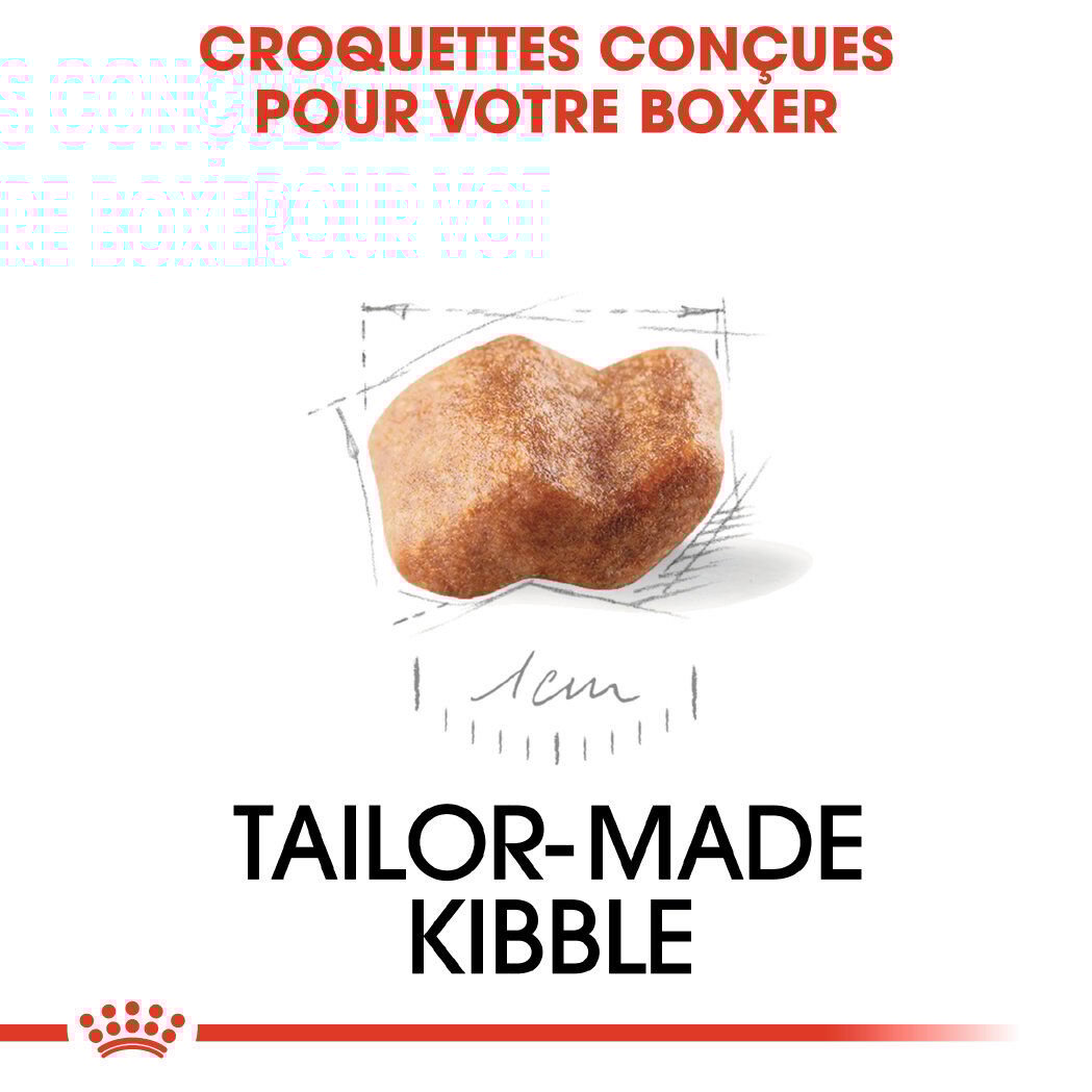 Royal Canin - Croquettes Boxer Junior pour Chiens - 3Kg Image num&eacute;ro 4