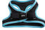 Gotoo - Harnais en Mesh Turquoise pour Chien - XS Indicateur image numéro 2