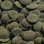 Amtra - Aliment Pro Pleco Tabs - 100ml Indicateur image numéro 2
