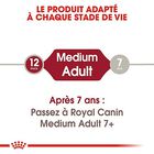Royal Canin - Croquettes Medium Adult pour Chien - 10Kg image number null