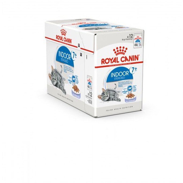 Royal Canin - Sachets Indoor 7+ en Gelée pour Chat - 12x85g Image numéro 1 Royal Canin - Sachets Indoor 7+ en Gelée pour Chat - 12x85g Image numéro 1