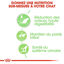 Royal Canin - Sachets Digestive Care sauce pour Chat - 12x85g Indicateur image numéro 4