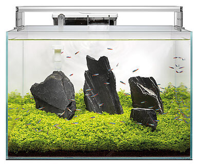 Superfish - Aquarium SCAPER 45 en Verre Crystal Clear - 45L