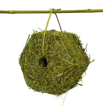 Rongis - Meule de Foin Nature pour Rongeurs - 400g