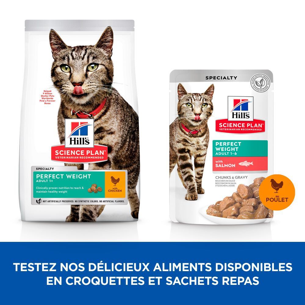 Hill's Science Plan - Adult Perfect Weight 12 Sachets Repas Pour Chat Poulet Et Saumon  - 12x85g Image num&eacute;ro 4