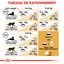 Royal Canin - Croquettes Norwegian Adult pour Chat - 2Kg Indicateur image numéro 6