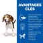 Hill's Science Plan - Puppy Boite Pour Chiot Poulet  - 370g Indicateur image numéro 3