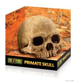 Exo Terra - Décoration Crâne Primate Skull pour Terrarium Exo Terra - Décoration Crâne Primate Skull pour Terrarium