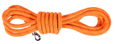 Bobby - Longe Walk Orange pour Chiens