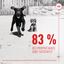 Royal Canin - Aliment Complémentaire Immunity & Digestion pour Chiots - 100g Indicateur image numéro 8