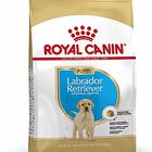 Royal Canin - Croquettes Labrador Junior pour Chiot - 12Kg image number null
