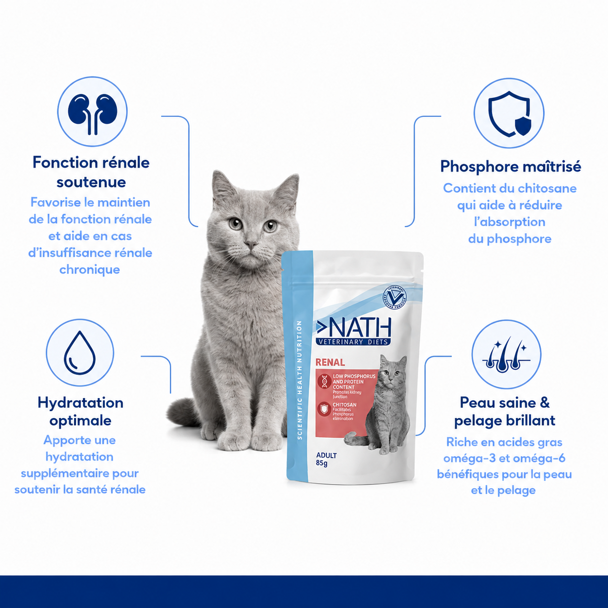 Nath - Sachet Humide Veterinary Diets Soutien R&eacute;nal pour Chat Adulte - 85g Image num&eacute;ro 2